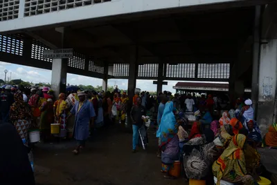 DSC_7573 (Large).JPG